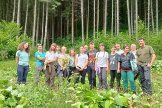 Actiune de indeptare a troscotului japonez la Rucar