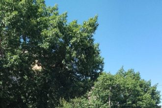 Amenzi de la Politica Locala pentru incalcari rutiere