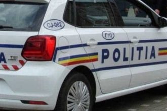 Arges Campanie pentru constientizarea sterilizarii animalelor