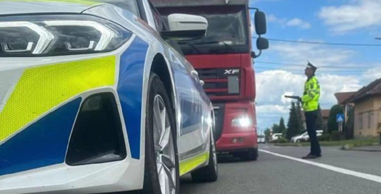 Arges Sofer de camion amendat cu 9000 lei