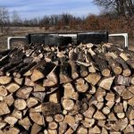 Arges inca un camion cu lemne partial justificate