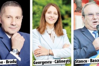 Argesul are doar trei comune in top 50 bugetelor locale