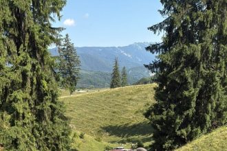 Autobasculanta cu piatra cazuta in rapa Dambovicioara