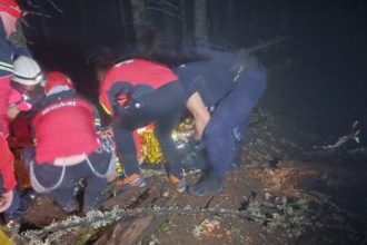 Barbat mort de la un copac cazut in furtuna