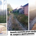 Branza din dosarul Cheresteaua acuzat de vecini