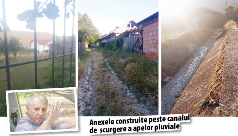 Branza din dosarul Cheresteaua acuzat de vecini