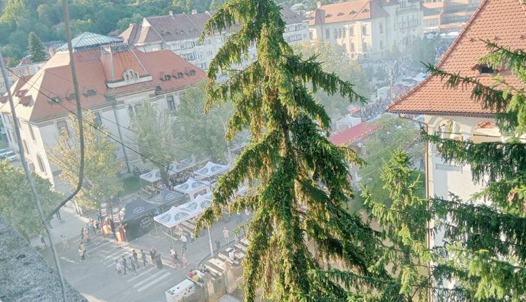 Campulungul s a infumurat de Zilele Municipiului Primarita s a operat la Cluj Napoca