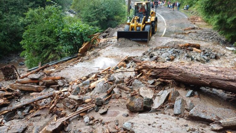 Circulatie oprita pe Transfagarasan din cauza copacilor cazuti
