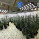 DGA Patru retinuti inclusiv un politist pentru droguri