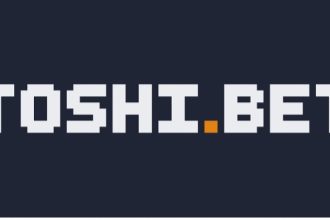 De ce Toshi bet va fi cel mai bun cazinou cripto fara KYC in 2025
