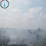 Foc pe doua hectare de vegetatie in Leordeni