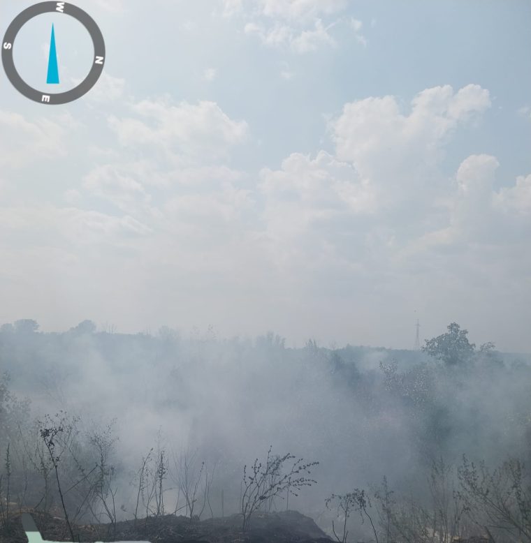 Foc pe doua hectare de vegetatie in Leordeni
