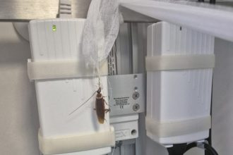 Gandaci gasiti in saloanele pacientilor Spitalului Floreasca