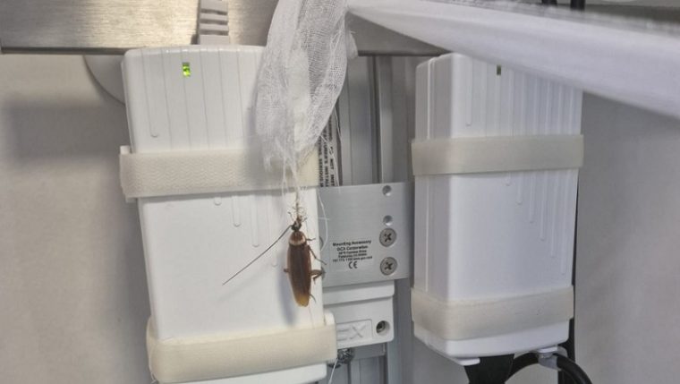 Gandaci gasiti in saloanele pacientilor Spitalului Floreasca