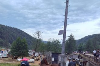 Jandarmii din Arge au recuperat un cal furat