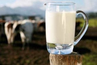 Laptele din Romania un adevarat elixir pentru sanatate