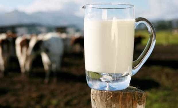 Laptele din Romania un adevarat elixir pentru sanatate