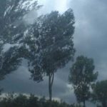 O femeie a murit dupa ce au cazut elemente dintr o cladire in Otopeni