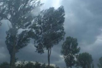 O femeie a murit dupa ce au cazut elemente dintr o cladire in Otopeni