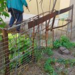 Piteti Gratarele si improvizatiile de la blocuri interzise