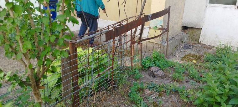 Piteti Gratarele si improvizatiile de la blocuri interzise