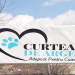 Sterilizarea gratuita a animalelor de companie in Curtea de Arges