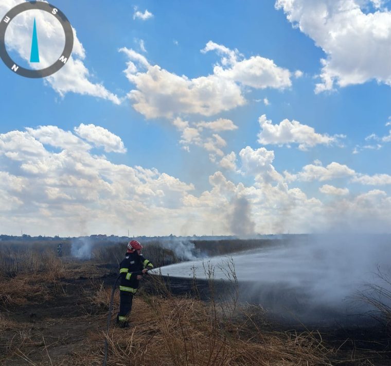 Trei incendii in Arges sambata au distrus o cultura de rapita