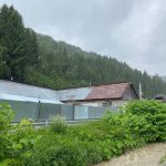 Voluntarii si rangerii curata zona afectata de troscot