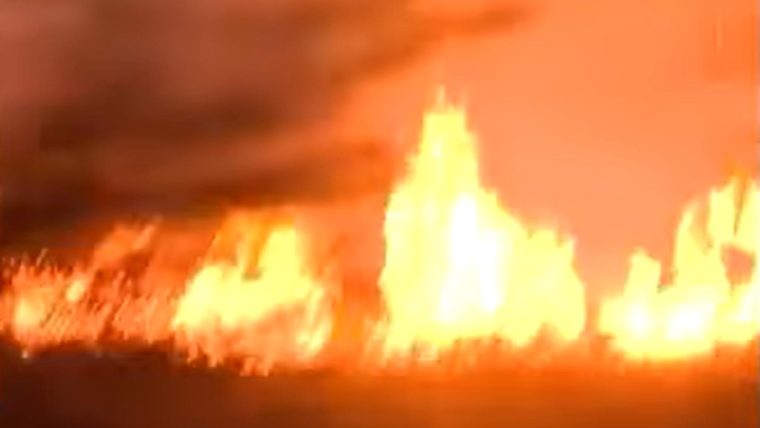 incendii devastatoare in bulgaria ajutorul ue solicitat