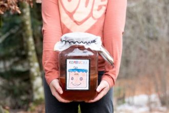 kombucha ce este si beneficii pentru organism