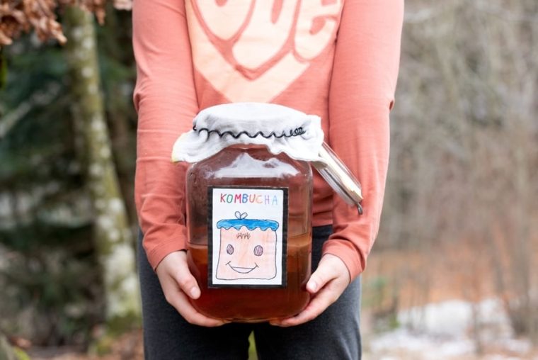 kombucha ce este si beneficii pentru organism