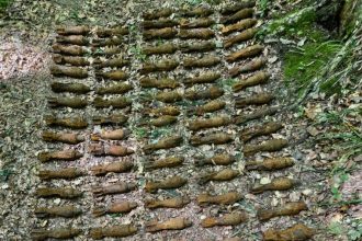 video 390 de proiectile gasite in bascov