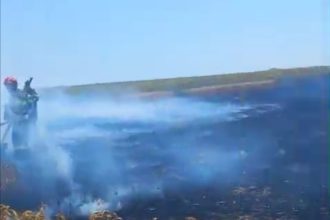 video incendiu in Arges Suseni lan de grau compromis