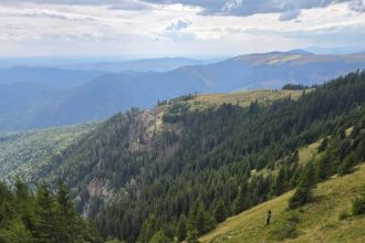 Accidentul din Arges patru tineri au murit