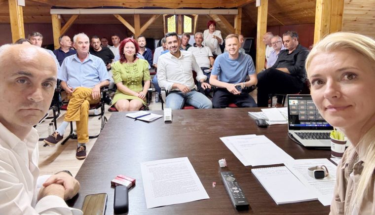 Alina Gorghiu a convocat BPJ la Pitestii Ajutam Argesul sa ajunga acolo unde merita