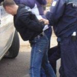 Arges Frai arestai dup ce au lovit poliia