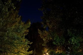 Atentie O noua dezinsectie in Pitesti noaptea acesta