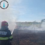 Cinci incendii in Arges 12 hectare distruse de foc