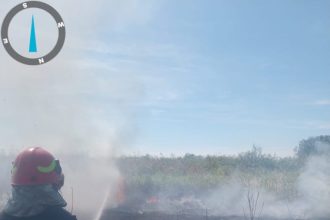 Cinci incendii in Arges 12 hectare distruse de foc