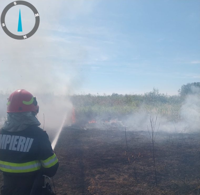 Cinci incendii in Arges 12 hectare distruse de foc