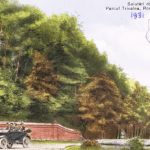 Cultura si civilizatie in Parcul Trivale