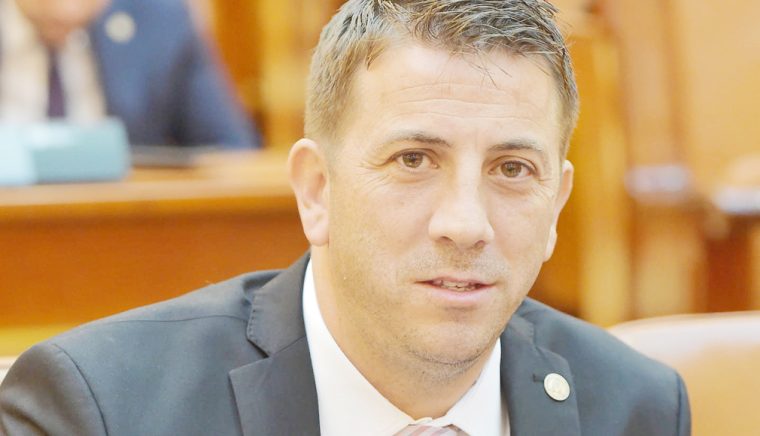 Directorul de la scoala Tudor Vladimirescu a chemat profesori la instruire in ziua pichetei