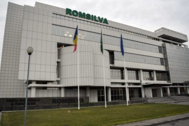 Directorul general interimar al Romsilva va fi ales prin dezbatere publica