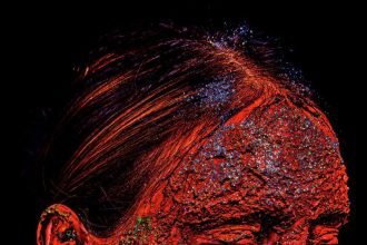 Expoziie de fotografie la Primaria Curtea de Arges