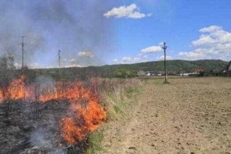 Incendiu in Arges Bradu Doua hectare afectate