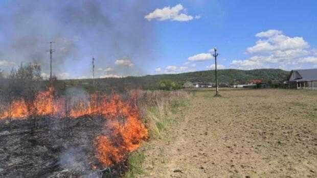 Incendiu in Arges Bradu Doua hectare afectate