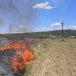 Incendiu in Arges doua hectare de vegetatie afectate