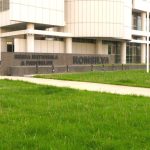 Ministerul Mediului organizeaza luni dezbatere pentru Romsilva