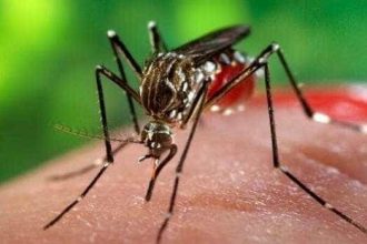 Numarul cazurilor de infectie cu virusul West Nile creste