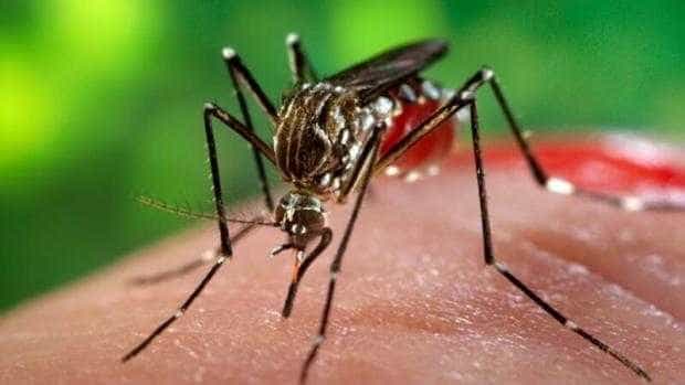 Numarul cazurilor de infectie cu virusul West Nile creste